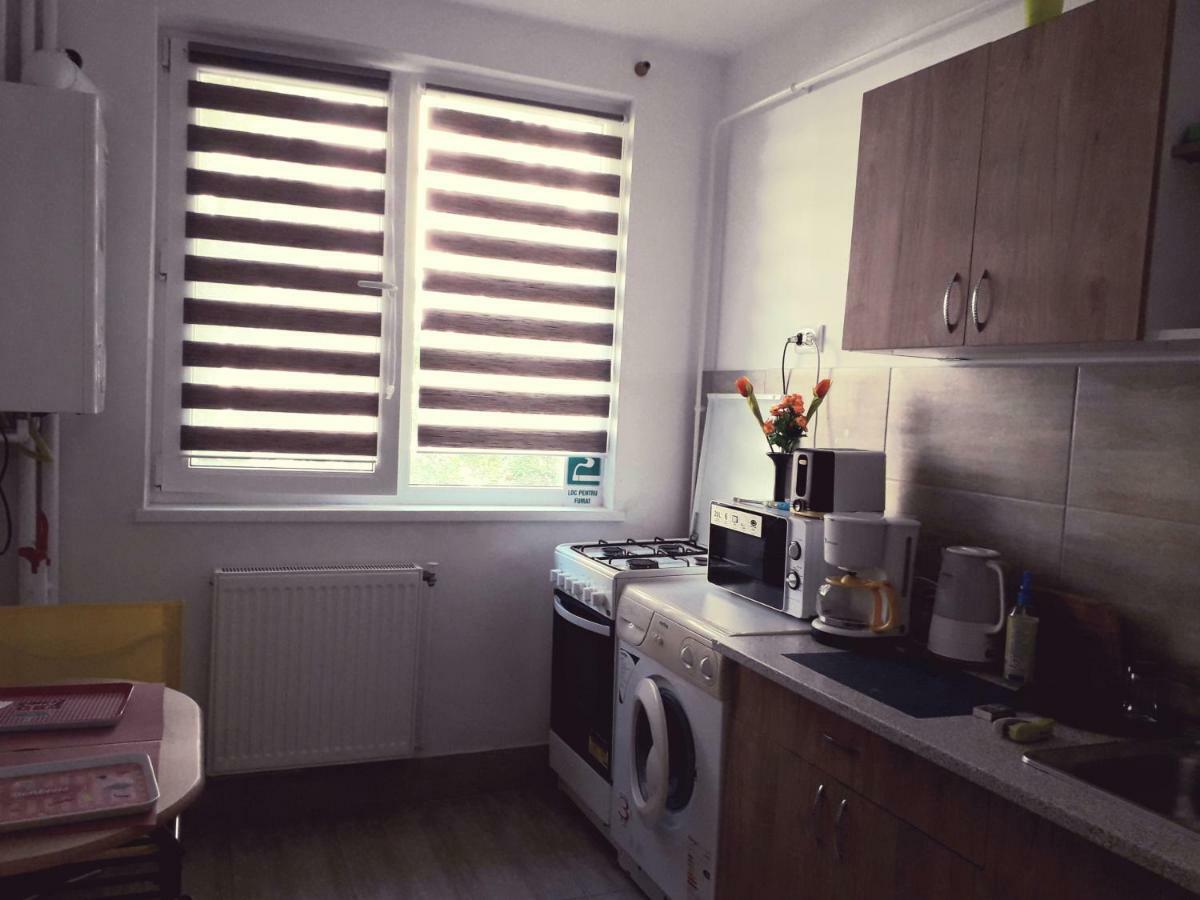 Iasi City Break Rooms מראה חיצוני תמונה